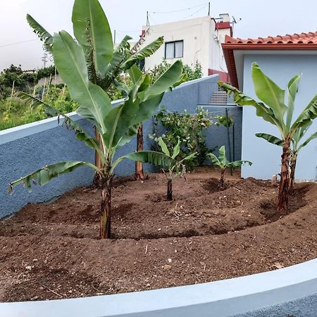 Calheta Paradise Holiday Home Арку-да-Кальєта Екстер'єр фото